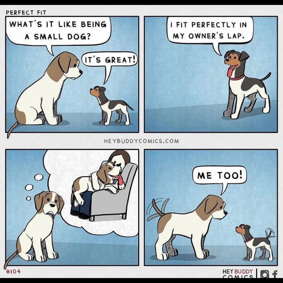 Meet your Posher, RT! - Picture 2 of 3